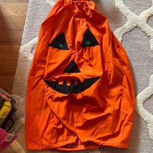 Home made pumpkin costume